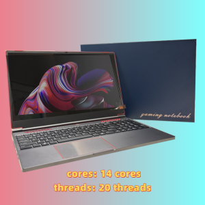 Intel i9 12900HK Unigraphics High Performance Laptop
